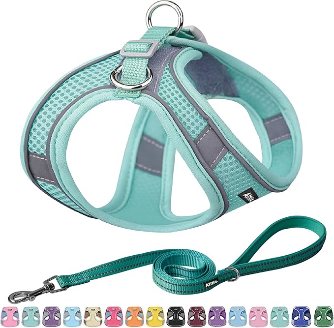 AIITLE No Pull Dog Harness and Leash Set, Step in Adjustable Dog Harness with Padded Vest for All Weather, Dog Leash with Soft Padded Handle, Easy to Put on Small and Medium Dogs Pure Turquoise S
