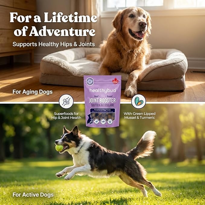 healthybud Hip and Joint Dog Treats - Soft Beef Liver Bites for Dogs of All Ages - 4.6oz