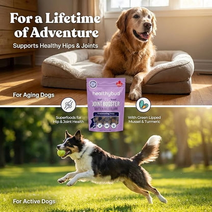 healthybud Hip and Joint Dog Treats - Soft Beef Liver Bites for Dogs of All Ages - 4.6oz