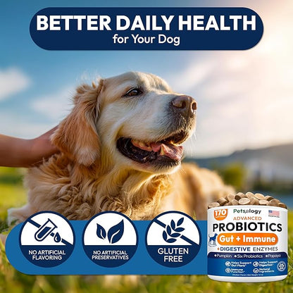 (2 Pack) Probiotics for Dogs - 340 Dog Probiotics Chews - Digestive Enzymes & Prebiotics - Support Gut Health, Diarrhea, Gas & Constipation Relief - Itchy Skin, Allergies - Advanced Supplement