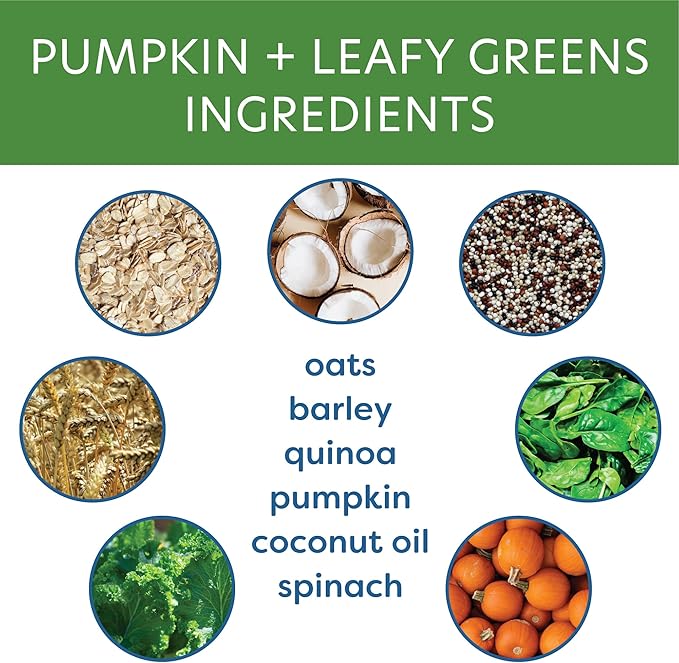Body and Soul Pumpkin + Leafy Greens Crunchy Premium Training Dog Treat Superfood Oven Baked Biscuits Oats Barley & Quinoa - Clean Natural Plant Protein, No Additives No Fillers Made in USA 2Pk (20oz)