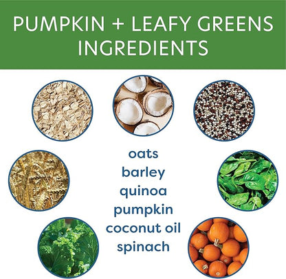 Body and Soul Pumpkin + Leafy Greens Crunchy Premium Training Dog Treat Superfood Oven Baked Biscuits Oats Barley & Quinoa - Clean Natural Plant Protein, No Additives No Fillers Made in USA 2Pk (20oz)