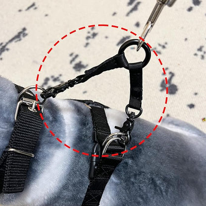 Double Headed Hook pet Safety Nylon 2Way Coupler with Nickel-Plated Swivel Clip