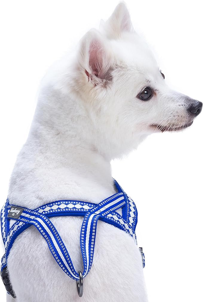 Blueberry Pet 4 Colors Soft & Comfy 3M Reflective Jacquard Padded Dog Harness, Chest Girth 21.5" - 27.5", Palace Blue, S/M, Adjustable Harnesses for Dogs