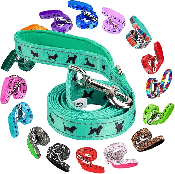 EcoBark Dog Leash - Soft & Reflective Comfort Leashes with Padded Handle - Strong Durable Heavy Duty - Training and Pulling for Small, Medium or Large Dogs (Turquoise)
