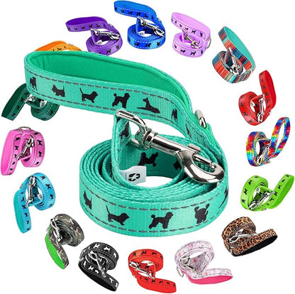 EcoBark Dog Leash - Soft & Reflective Comfort Leashes with Padded Handle - Strong Durable Heavy Duty - Training and Pulling for Small, Medium or Large Dogs (Turquoise)