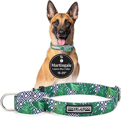 Lucky Love Dog Martingale Collar, Premium No Slip Martingale Collar for Large Boy Dogs, Great for Whippets, Greyhounds, and More (Large, Blue Laguna)