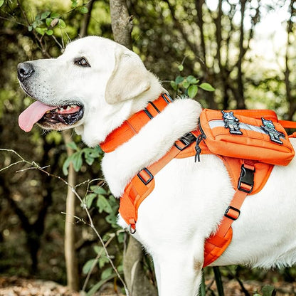 OneTigris Tough Dog Collars, Tactical Dog Collar with Handle, Milltary Adjustable Dog Collar with Heavy Duty Metal Buckle for Training (Orange, S)