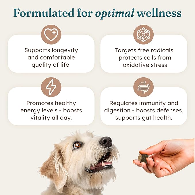 PetHeal Cancer Care Chews for Dogs - Pork Flavor - Supports Energy, Comfort & Longevity | Immune Support with Astragalus & Burdock | Helps Digestive Discomfort | 30 Soft Chews, Vet-Reviewed