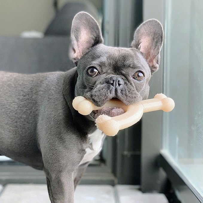 Nylabone Original Wishbone Power Chew Toy for Dogs, Dog Toys for Aggressive Chewers, Original Flavor, Medium - Up to 35 lbs, 1 Count