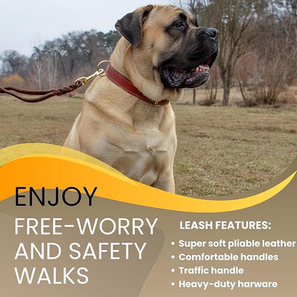 ADITYNA - Double Handle Leather Dog Leash 6ft - Heavy Duty Braided Dog Leash with Traffic Handle for Mastiff, Saint-Bernard, Rottweiler - Lead for Extra-Large Breeds (Brown, Two Handles 6 Foot x 1")