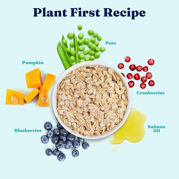 Solid Gold Dry Dog Food for Adult & Senior Dogs - with Whole Grains, Oatmeal, Pearled Barley, & Fish - Potato Free, High Fiber Adult Dog Food Dry Kibble for Sensitive Stomach & Immune Support – 4LB