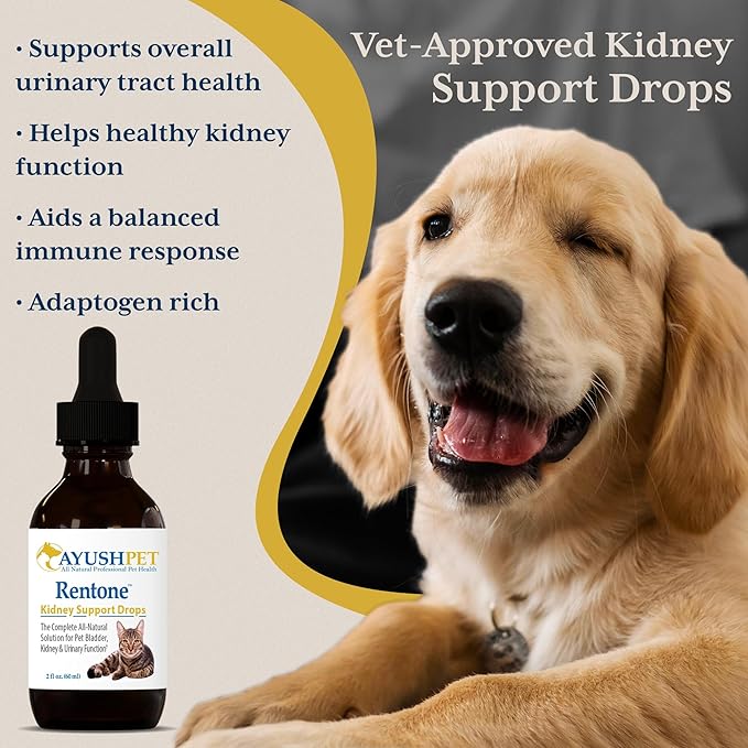 Ayush Pet Rentone - Kidney Support for Dogs & Cats, Liquid Drops for Urinary & Kidney Health, Urinary Health Supplement for Small or Large Pets, Natural Care - 2 fl oz