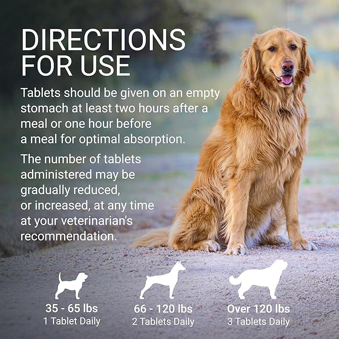 Nutramax Laboratories Denosyl for Dogs, Liver and Brain Health Supplement for Large Dogs, with S-adenosylmethionine (SAMe), Stabilized Tablets, 30 Count