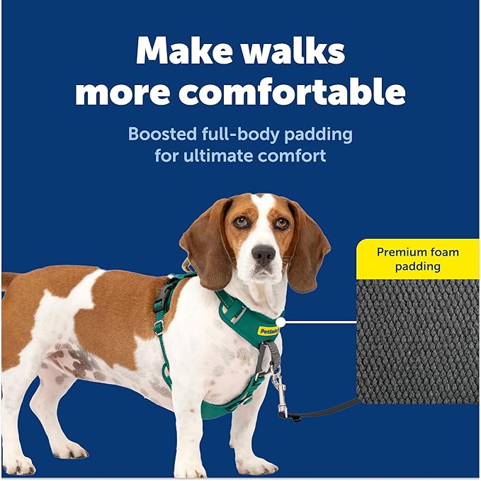 PetSafe Easy Walk Comfort No-Pull Dog Harness - Better Walk Training Harness - Full Body Padded Design - Durable Fabric - 5 Point Adjustable Fit - Everyday Leash Training - Green - Small/Medium