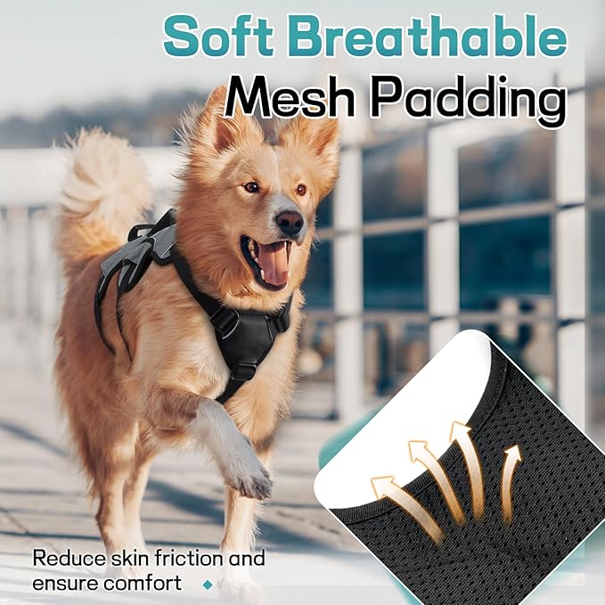 rabbitgoo Escape Proof Dog Harness, Soft Padded Full Body Pet Harness, Reflective Adjustable No Pull Vest with Lift Handle and Leash Clip for Large Dogs Walking Hiking Training, XL, Grey