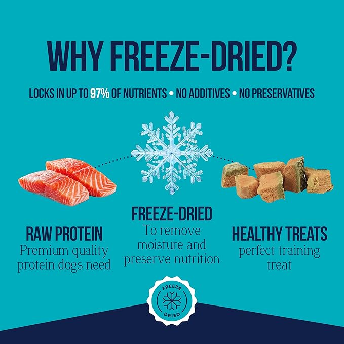 Stewart 100% Wild Salmon Dog Treats, 2.75 oz Pouch, ~55 Pieces, Freeze Dried Raw, Single Ingredient, 65% Protein Training Treats or Meal Topper, Grain Free, Gluten Free