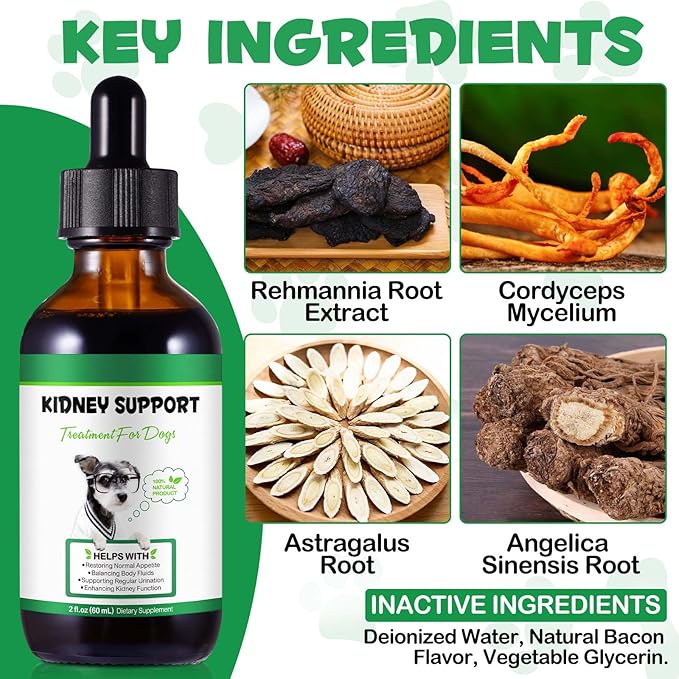 Pet Kidney Support for Dogs, Veterinarian Formulated, Supports Healthy Kidney Function in Dogs, Promotes Overall Physical Health and Vitality, Herbal Supplement, Easy to Absorb, 2 oz