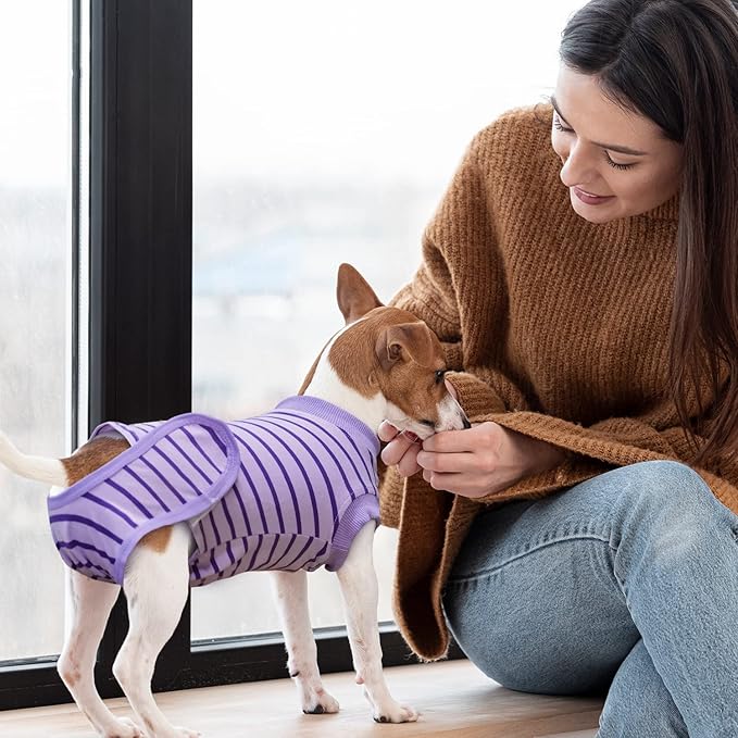 Dog Recovery Suit, Surgical Recovery Suit for Male Female Dogs Cats Spayed Onesie After Surgery, Dog Post Surgery Suit Anti Licking & Biting Surgical Shirt with Pee Hole，Purple Large