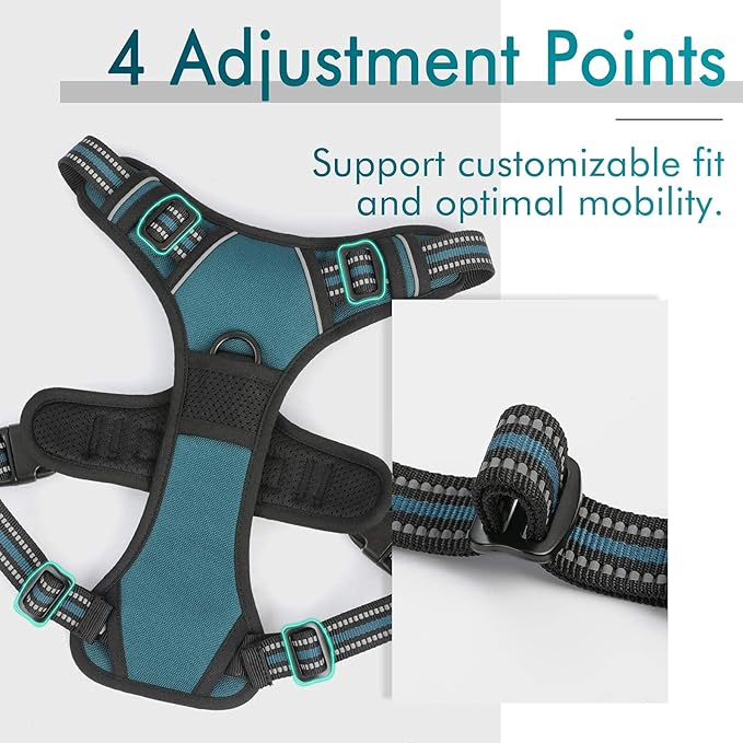 rabbitgoo Dog Harness No Pull with 2 Leash Clips, Adjustable Soft Padded, Reflective Oxford No Choke Pet Vest with Easy Control Handle for Small Dogs, Blue Coral, S