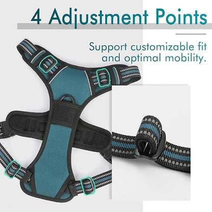 rabbitgoo Dog Harness No Pull with 2 Leash Clips, Adjustable Soft Padded, Reflective Oxford No Choke Pet Vest with Easy Control Handle for Small Dogs, Blue Coral, S