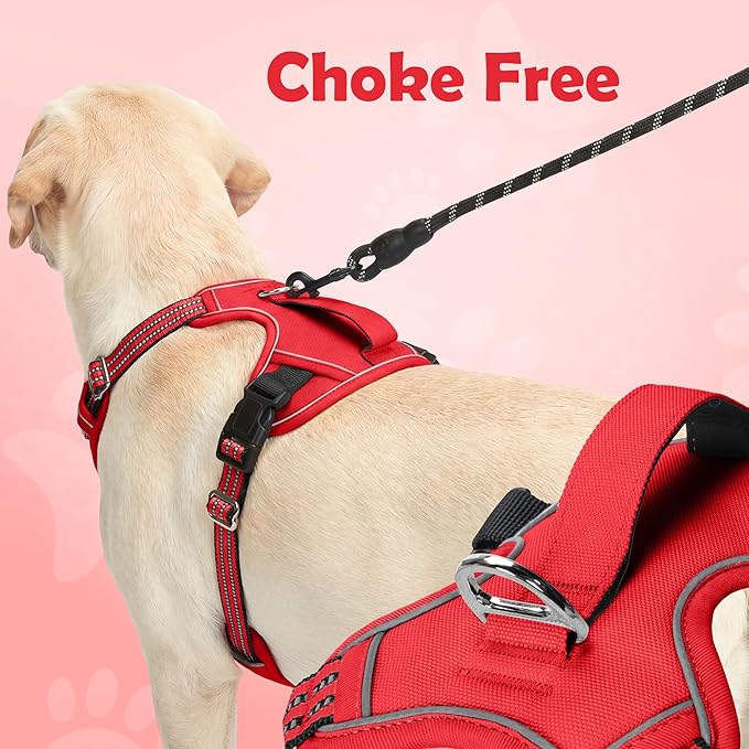 Funfox Dog Harness No Pull, Adjustable Pet Vest Harness, Super Soft Material with Vertical Handle Easy Control, Reflective Night Walking, 2 Leash Clips for Small Sized Dogs, Red, S