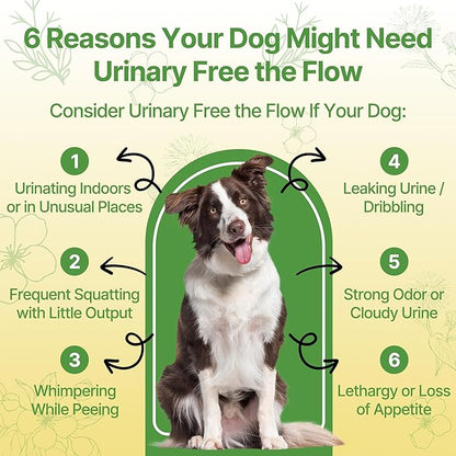 Bladder & Kidney Stones Dissolver for Dogs – Natural Dog UTI Treatment & Urinary Tract for Dogs, Stone and Crystals Fragment Flush & Prevention, Vet-Formulated Dog Urinary Tract Infection Support