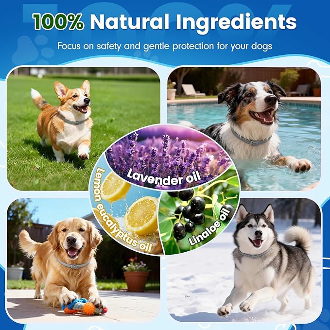 KOOSA Flea and Tick Collar for Dogs, 4 Packs Flea Collar for Dogs with Natural Essential Oils, Waterproof & Adjustable Flea and Tick Prevention Collar for Small Medium Large Dogs & Puppies, Grey