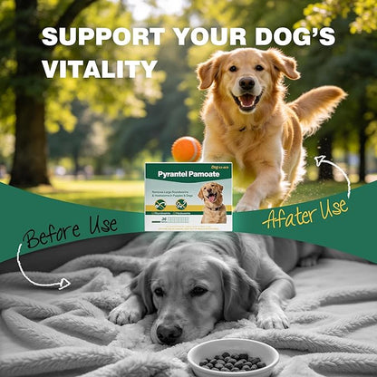 Dog Dewormer Pyrantel Pamoate, Chewable Tablets for Dogs & Puppies, Roundworms & Hookworms, Easy Dosing, 36 Tablets