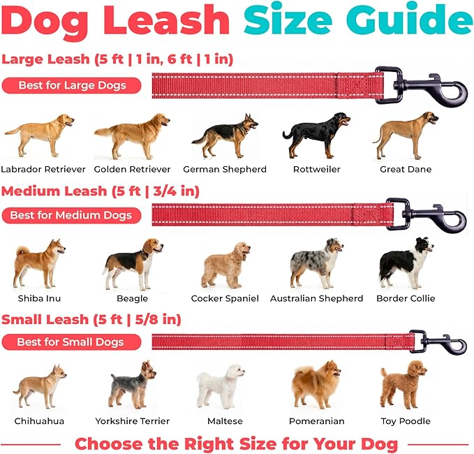 Best Pet Supplies Voyager Reflective Dog Leash or Collar with Neoprene Handle, for Small, Medium, and Large Breed Puppies, Cute and Heavy Duty for Walking, Running and Training - Red (Leash), M
