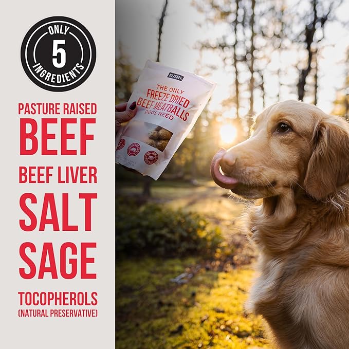 Natural Rapport Beef Meatball Dog Treats - The Only Beef Meatballs Dogs Need - All Natural Dog Treats for Small and Large Dogs (4 oz)