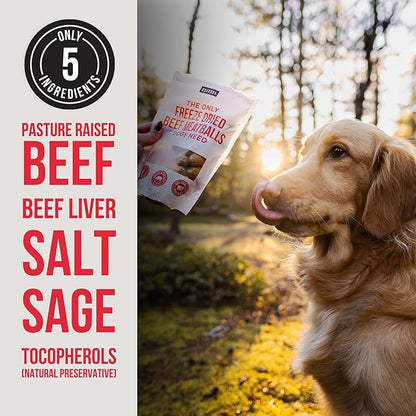 Natural Rapport Beef Meatball Dog Treats - The Only Beef Meatballs Dogs Need - All Natural Dog Treats for Small and Large Dogs (4 oz)