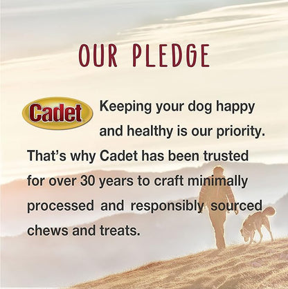 Cadet Gourmet Shish Kabob Dog Chews for Large Dogs, Rawhide Treats with Chicken and Sweet Potato, Healthy & Natural Pork Hide, 10-Inch Sticks, 4 Count