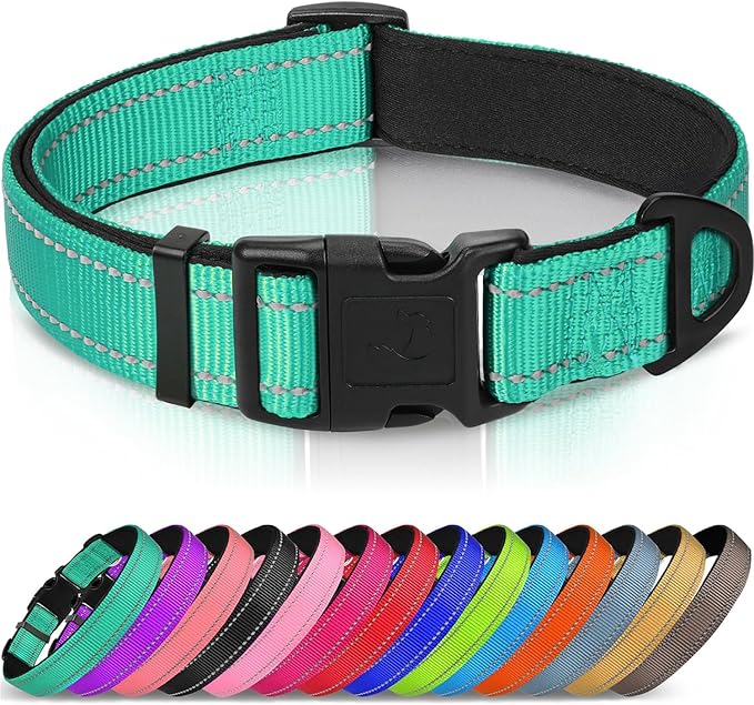 Joytale Reflective Dog Collar, Soft Neoprene Padded, Metal D-Ring, Nylon Pet Collar Adjustable for Medium Dogs, Teal, M