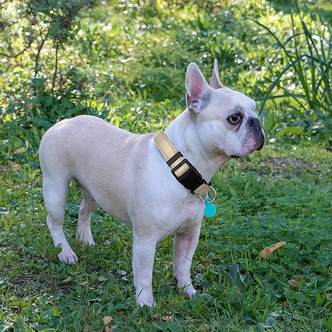 Ladoogo Reflective Dog Collar Padded with Soft Neoprene Breathable Adjustable Nylon Dog Collars for Small Medium Large Dogs (X-Small (Pack of 1), Vanilla Collar+Leash)