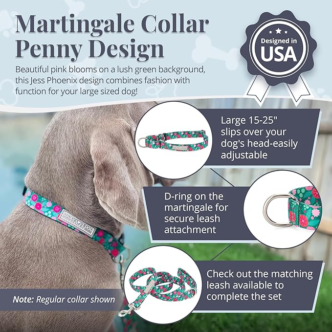 Lucky Love Dog Martingale Dog Collar - Adjustable, No-Slip, Durable, & Soft Webbing Collar for Male and Female Dogs Ideal for Training & Walking - Penny, Large