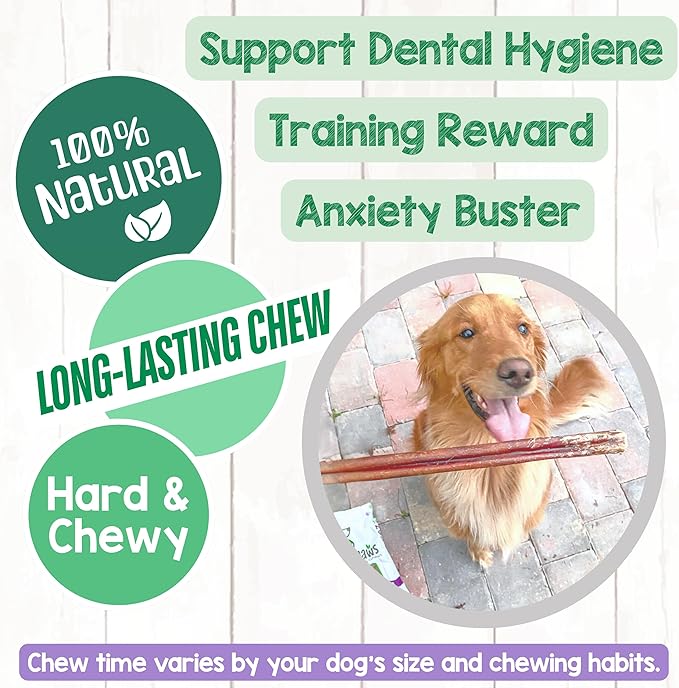 Nature Gnaws Bully Sticks for Dogs 11-12" (8oz) - Mixed Thickness - Long Lasting for Aggressive Chewers and Large Dogs - Natural Beef Dog Chew Bones