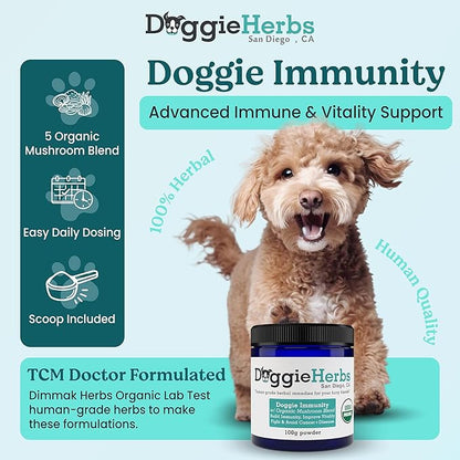 High Potency Immune Support – Critical Care Formula with Turkey Tail, Reishi & TCM Mushrooms + Herbs – Doctor Formulated Powder for Recovery, Vitality & Cellular Health 100g
