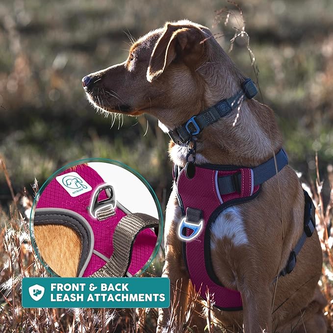 Embark Adventure Large Dog Harness – No-Pull, Reflective Trim, Military-Grade Nylon, Front Clip with Gel-Lined Handle