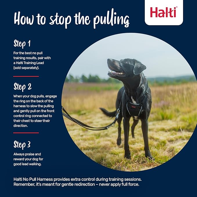 Halti No Pull Harness - Stop Your Dog Pulling on The Leash. Adjustable, Lightweight and Easy to Use. Reflective Dog Training Harness for Toy and Small Dogs (Size XS, Black)