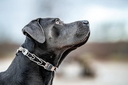 Herm Sprenger Dog Training Prong Collar with Quick Release Cliclock Buckle and Swivel Ring | Adjustable Length Stainless Steel Collar Made in Germany for Large Dogs up to 20" Neck (3.2mm Prongs)