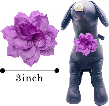PET SHOW Small Dog Collar Charms Bowties for Cats Rabbits Slide on Puppies Medium Dog Collars Attachment Flower Bows Pet Bowknot Valentines Grooming Costumes Accessories