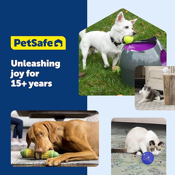 PetSafe Busy Buddy Bouncy Bone - 3-in-1 Adjustable Slow Feeder Toy with Refillable Treat Rings - Cleans Teeth & Gums, Cures Boredom & Slows Down Eating Habits - Medium - for Dogs 25-50 lb