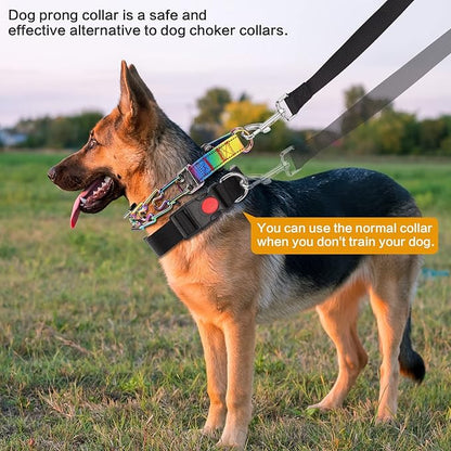 Prong Training Collar with Comfort Tips and Quick Release Snap Buckle - Classic Collar and Leash for Small to Large Dogs