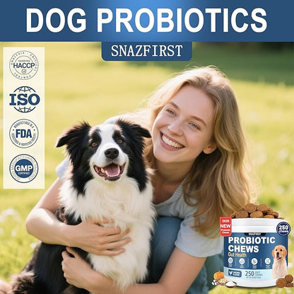 Probiotics for Dogs, Dog Probiotics Chews for Digestive Health & Gut Health, Improve Immune System,Constipation & Diarrhea Relief(Chicken Flavor, 250 Chews)