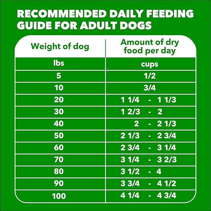 IAMS Proactive Health Adult Minichunks Premium Dry Dog Food, Adult Dog Food Dry Recipe, 3.3 lb.