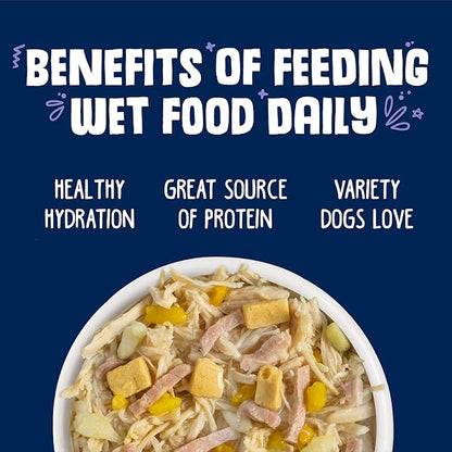 Weruva Classic Dog Food, Bed & Breakfast with Chicken, Egg, Pumpkin & Ham in Gravy, 14oz Can (Pack of 12)