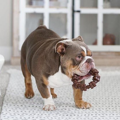 Nylabone Textured Ring Power Chew Toy for Large Dogs, Durable Dog Toys for Aggressive Chewers, Strong Dog Chew Bones To Keep Them Busy, Flavor Medley, X-Large - 50+ lbs, 1 Count
