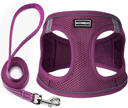 Dog Harness with Leash Set, No Pull Adjustable Reflective Step-in Puppy Pet Vest Harnesses for Small Medium Large Dogs and Cats,Cranberry XS