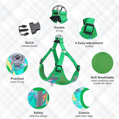 BEAUTYZOO Step in Dog Harness Collar and Leash Set for Small Medium Large Dogs, No Pull No Choke Puppy Harness, Soft Mesh Reflective Pet Padded Vest Adjustable for Doggie Girl or Boy,Chihuahua,Yorkie